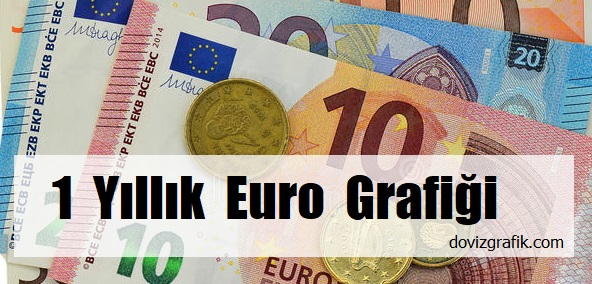 euro 1 yıllık grafik
