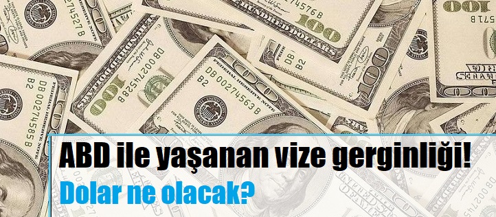 abd vize sorunu ve dolar tl