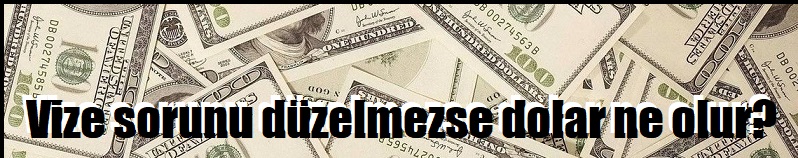 abd vize dolar ne olur
